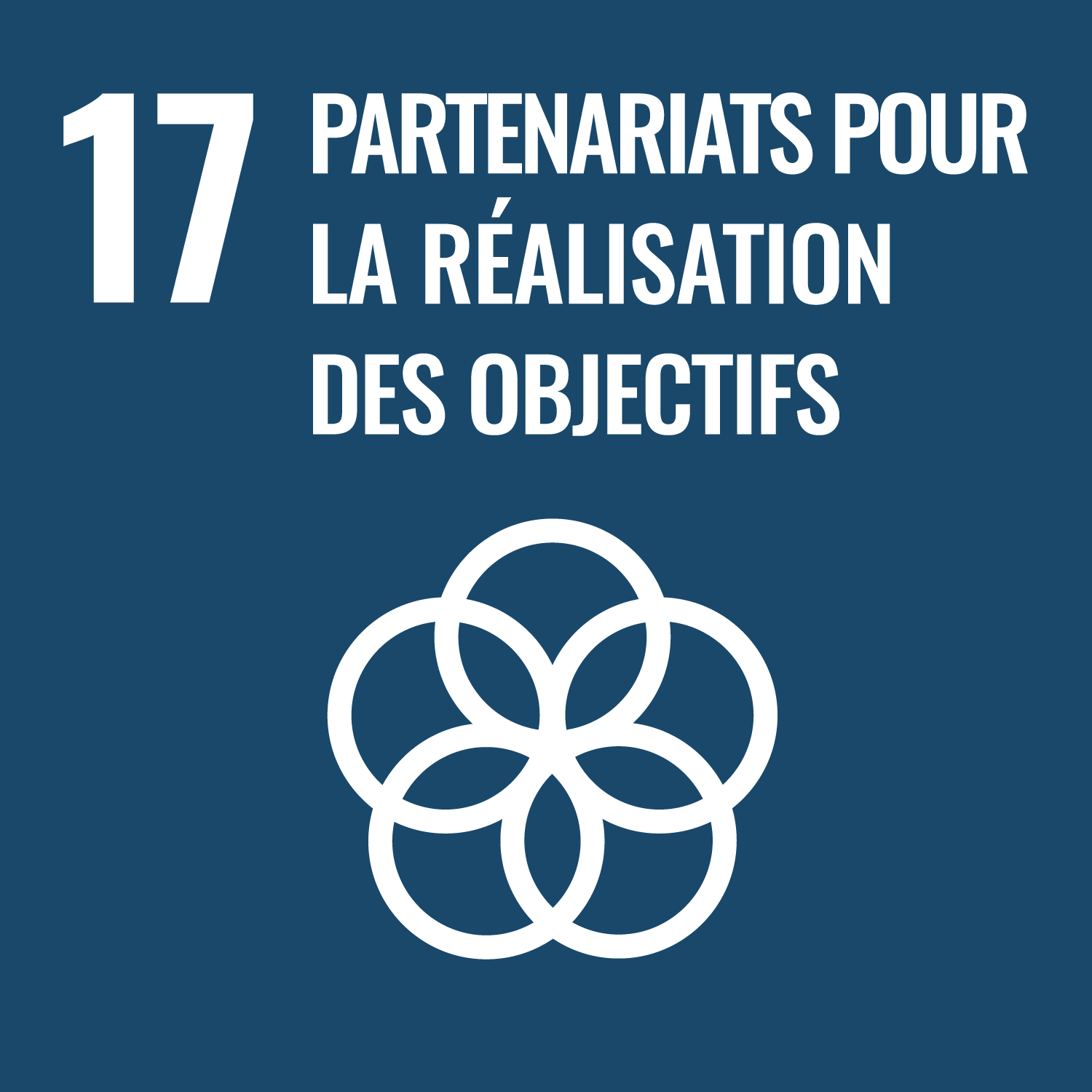 17. Partenariats pour la réalisation des objestifs