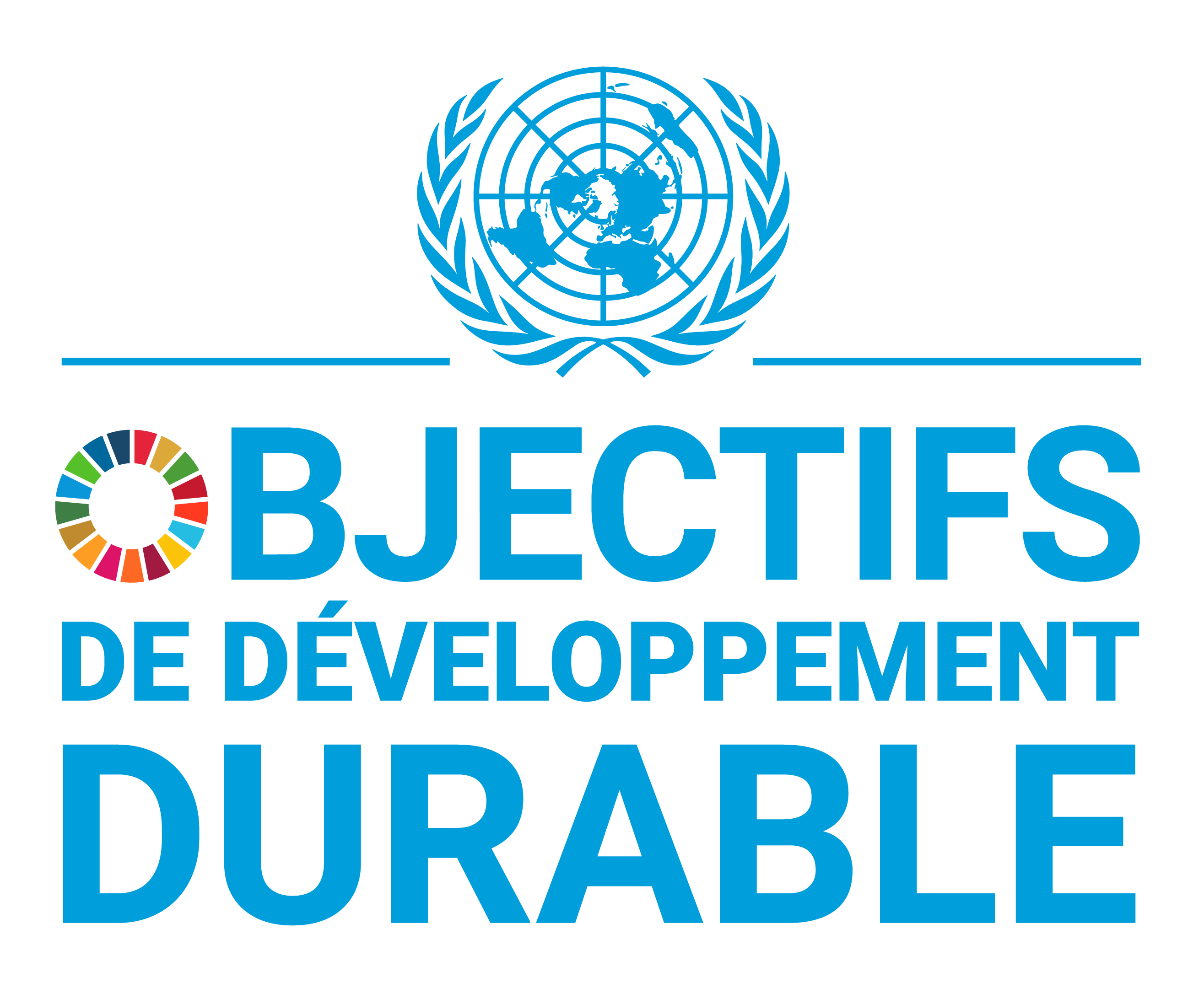 Logo objectifs de développement durable