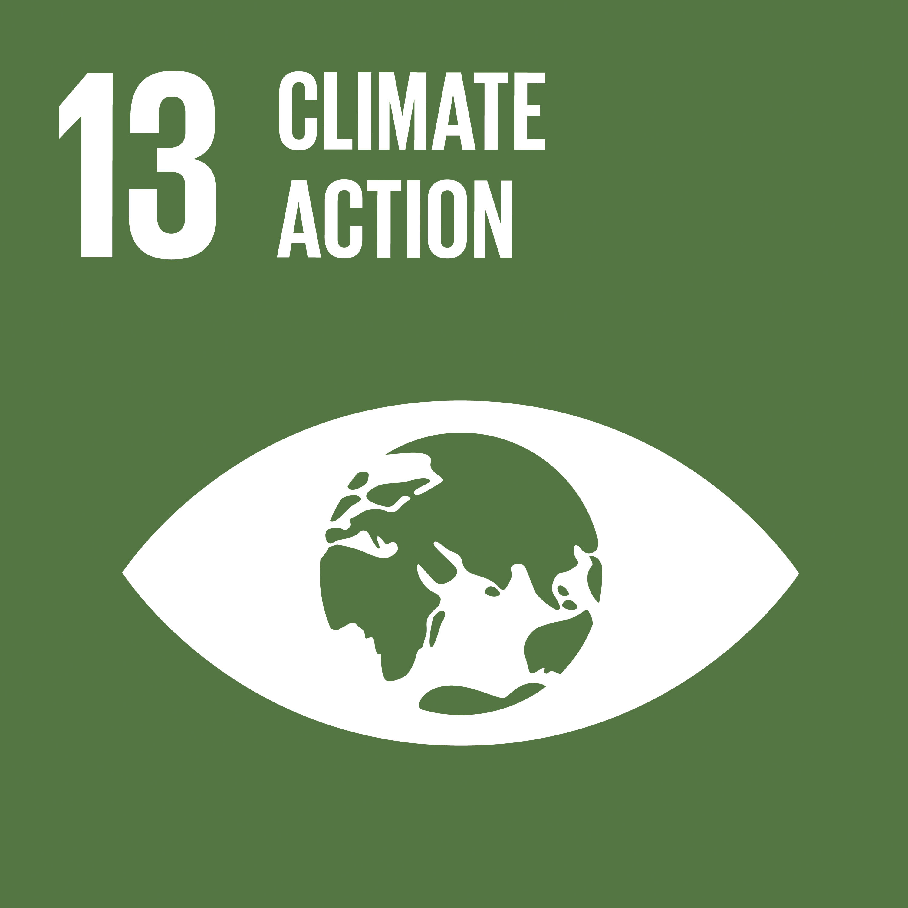 N°13: Climate action