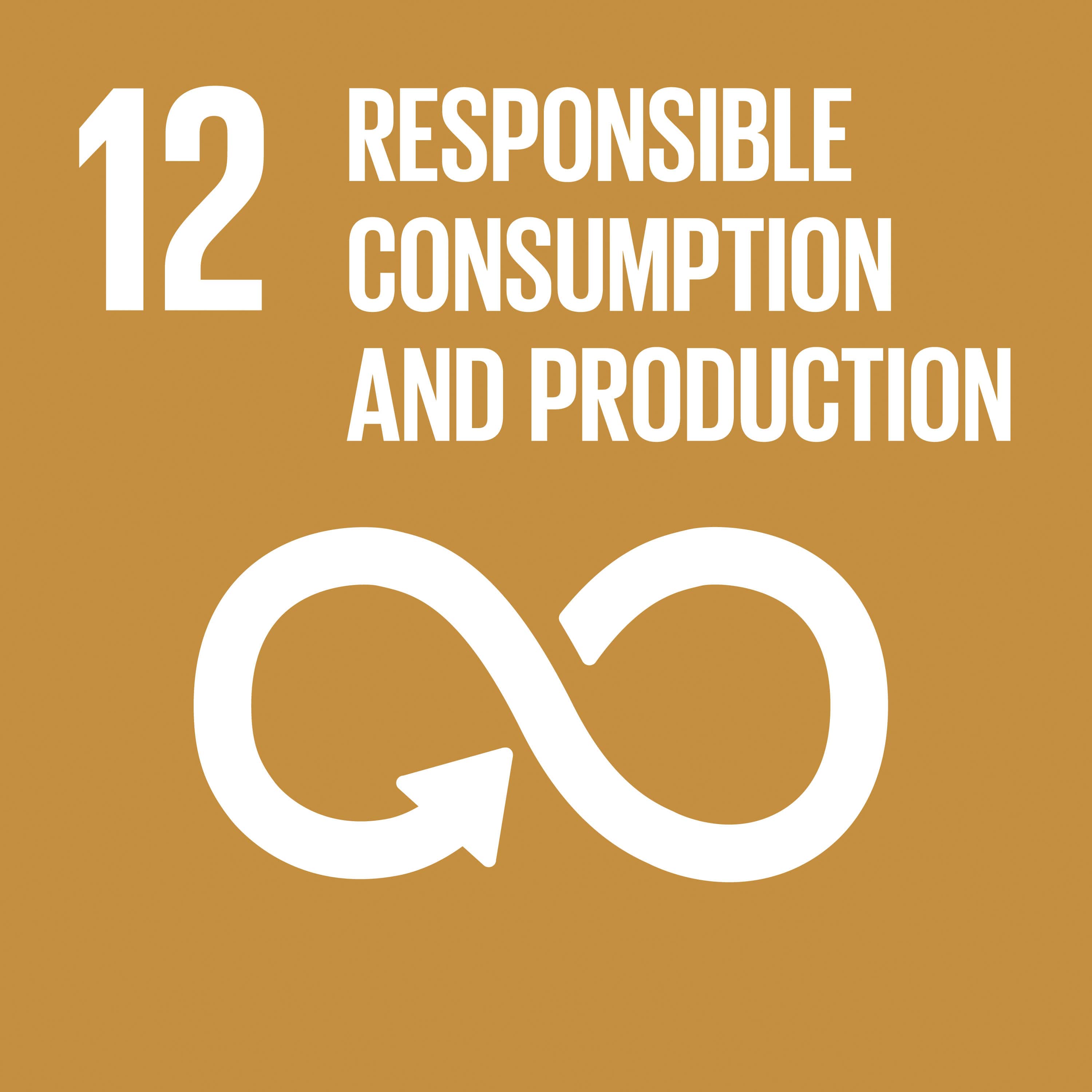 12. Responsible consumption and production